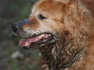 ホテル Heidi 3*